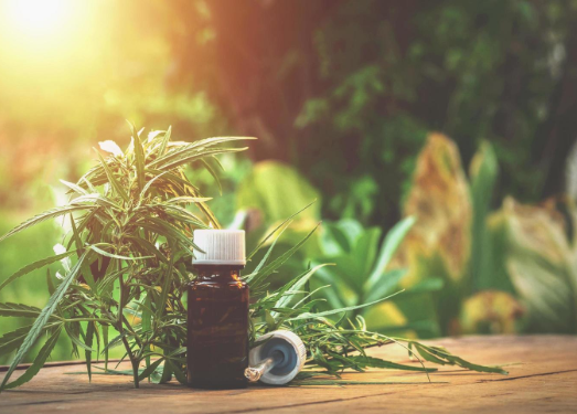 Cannabis and Mindfulness: Enhancing Your Wellness Practices