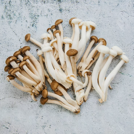 Efficient and Fresh: Mushroom Delivery Services in DC