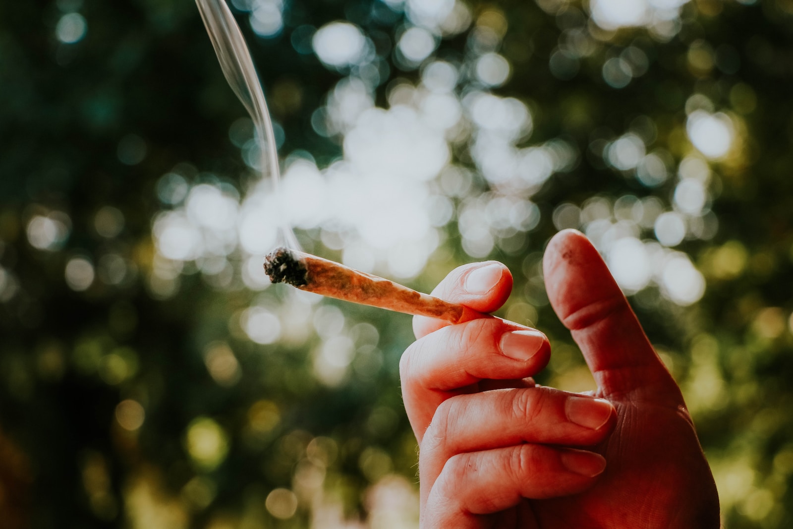 Is Smoking Cannabis a Sin? Exploring the Moral and Ethical Dimensions